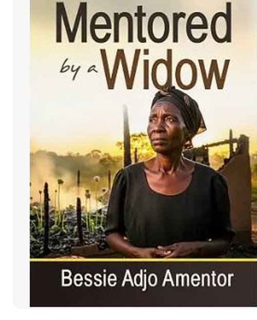 Mentored By A Widow book cover