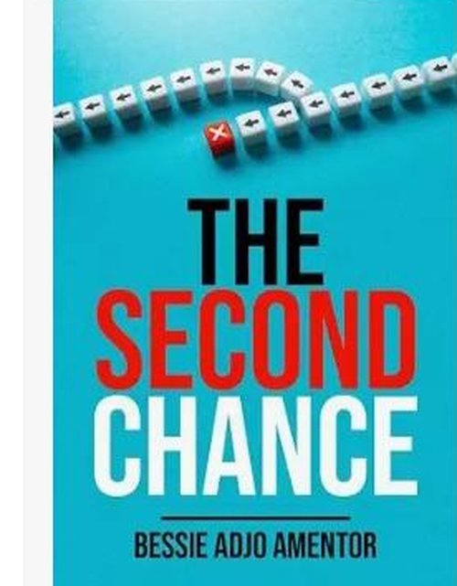 The Second Chance book cover